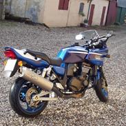 Kawasaki ZRX 1200s