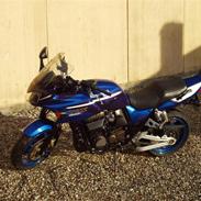 Kawasaki ZRX 1200s