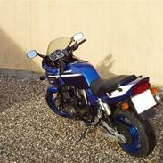 Kawasaki ZRX 1200s