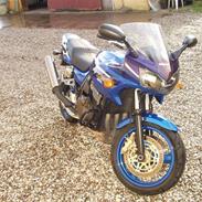 Kawasaki ZRX 1200s