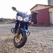 Kawasaki ZRX 1200s
