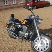 Jincheng Texas Cruiser