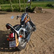 Jincheng Texas Cruiser