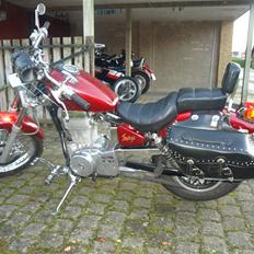 Suzuki Ls Savage