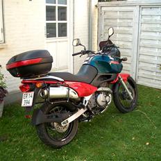 Suzuki XF 650 FREEWIND