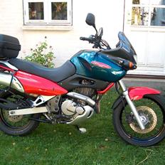 Suzuki XF 650 FREEWIND