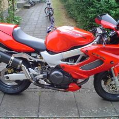 Honda VTR 1000  R.I.P.