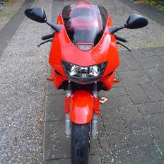 Honda VTR 1000  R.I.P.