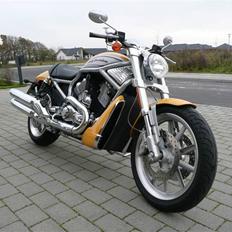 Harley Davidson VRSCR Street Rod