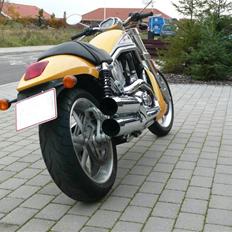 Harley Davidson VRSCR Street Rod