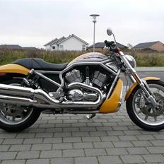 Harley Davidson VRSCR Street Rod