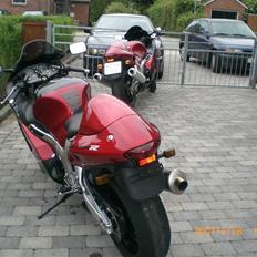 Suzuki gsxr 1300 hayabusa