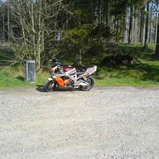 Honda CBR 900 RR Fireblade