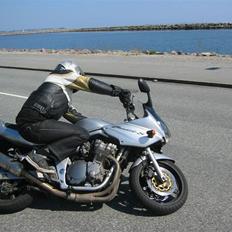 Suzuki GSF Bandit S. 