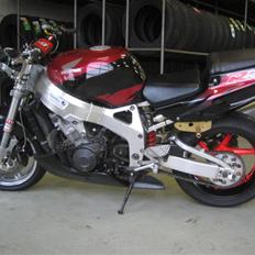 Honda cbr 900 sc33 (SOLGT)