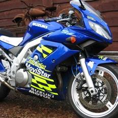 Suzuki SV 1000S