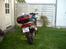 Suzuki XF 650 FREEWIND - Lækker røv