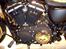 Harley Davidson Sportster XL 883 Roadster - Lidt skull stil.