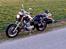 Lifan LF250-4 MC4YOU  - nu har jeg monteret sidebokse