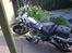 Lifan LF250-4 MC4YOU 