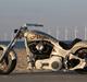 Harley Davidson softtail