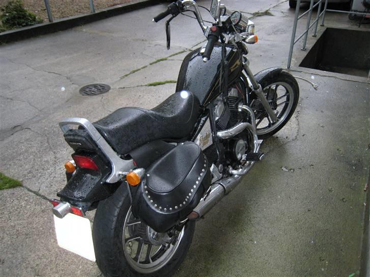 Honda VT500C Shadow billede 9