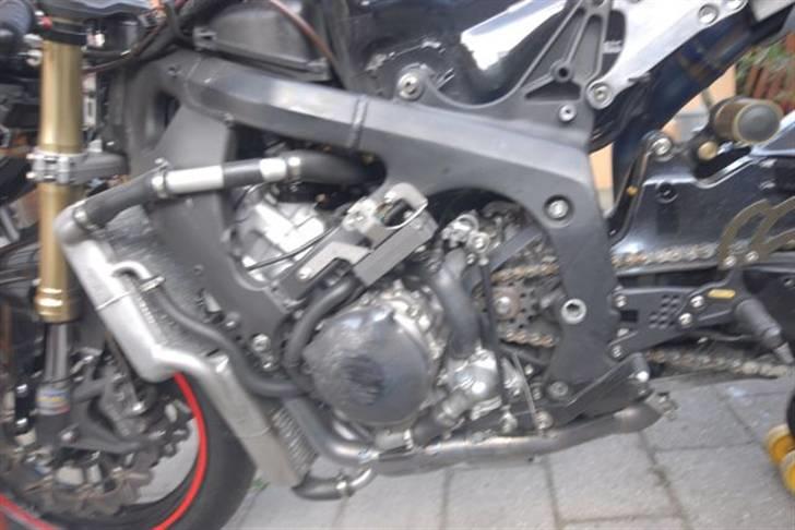 Honda CBR 600 RR billede 4