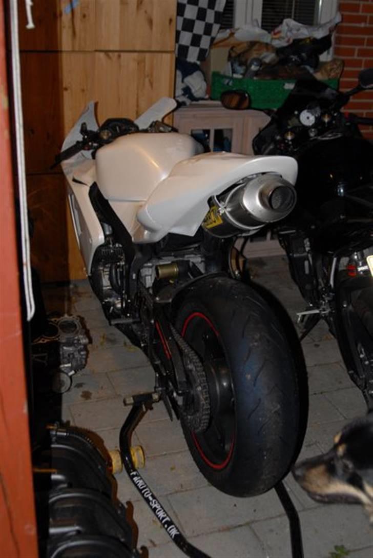 Honda CBR 600 RR billede 12