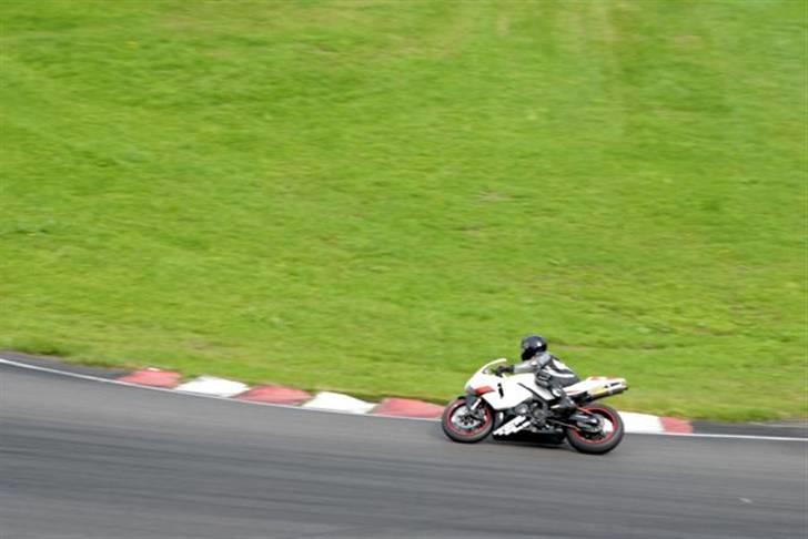 Honda CBR 600 RR billede 15