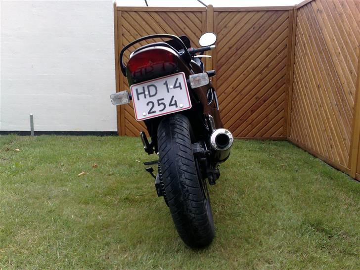 Suzuki GSX 600 F 1997 - Solgt - Bagfra efter ny nummerpladeholder billede 2