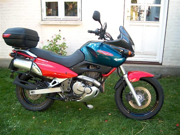 Suzuki XF 650 FREEWIND - Made i Japan, som er ved at være sjældent, og det kan ses. billede 2