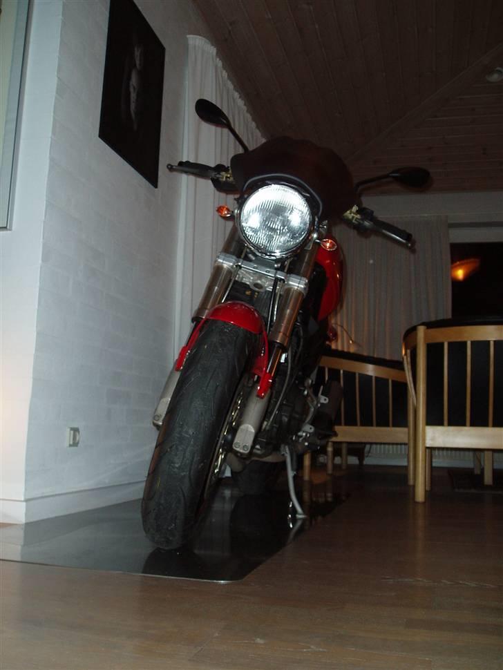 Ducati Monster 900 billede 5