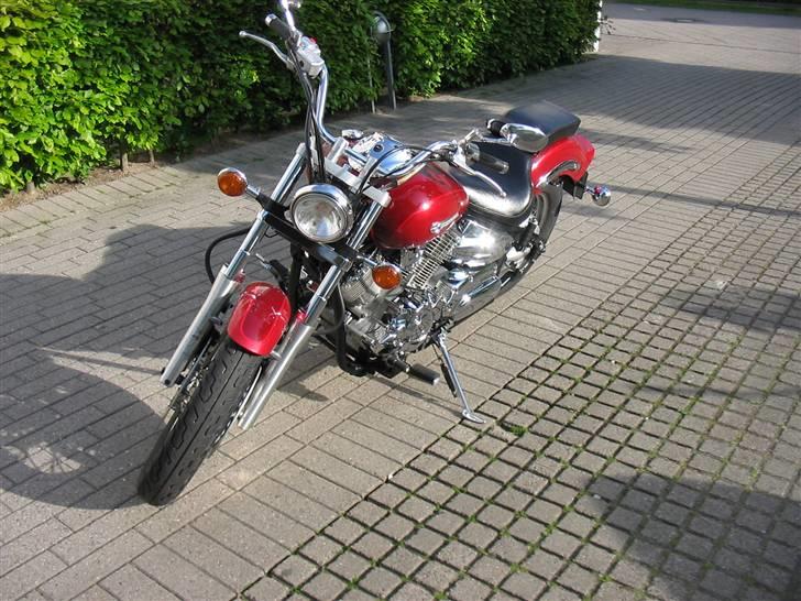 Yamaha dragstar billede 8