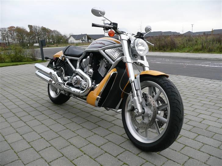 Harley Davidson VRSCR Street Rod billede 1