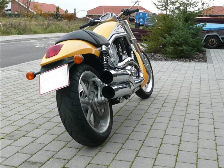 Harley Davidson VRSCR Street Rod billede 2