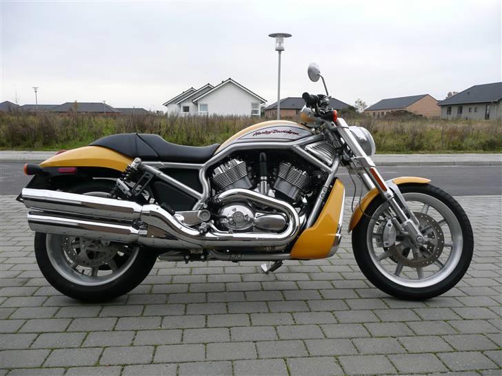 Harley Davidson VRSCR Street Rod billede 3