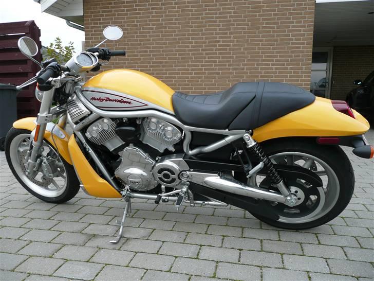 Harley Davidson VRSCR Street Rod billede 4