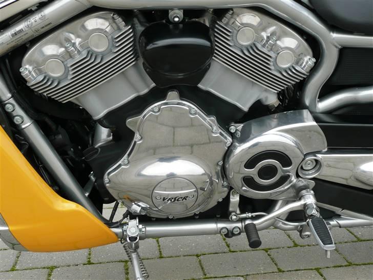 Harley Davidson VRSCR Street Rod billede 6