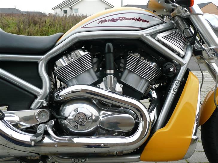 Harley Davidson VRSCR Street Rod billede 7