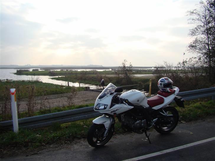 Suzuki SV 650s billede 9