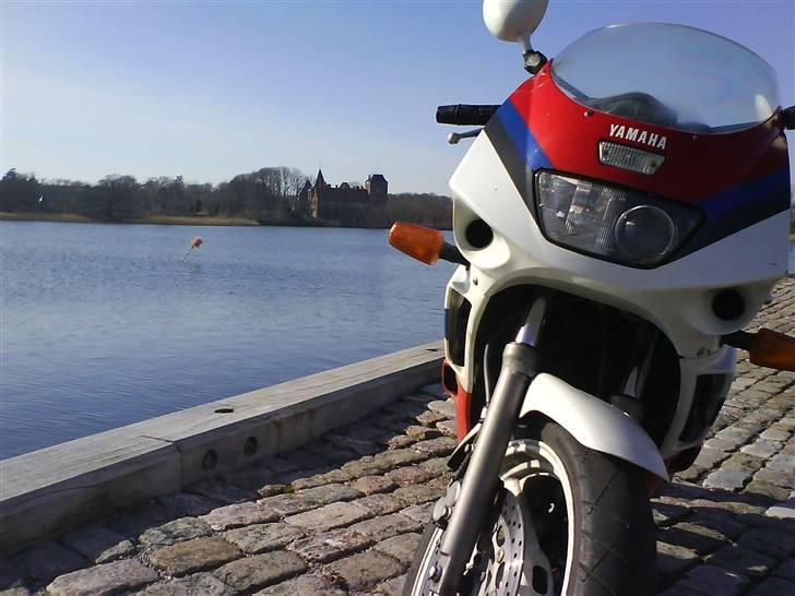 Yamaha FZR 600 - Nysted havn billede 2