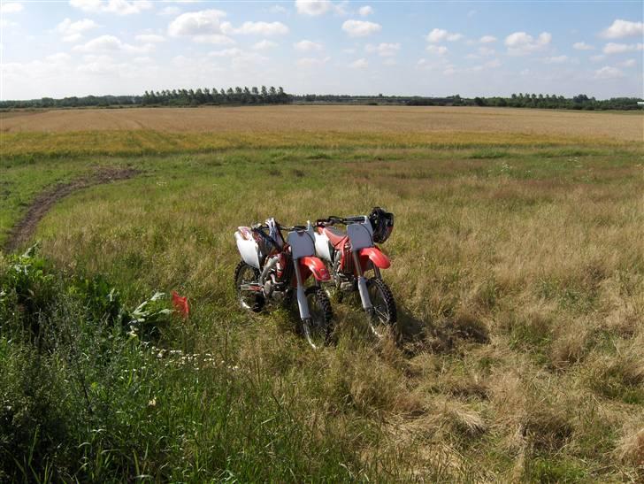 Honda crf 450 - to flotte hondaer en søndag på heden billede 18