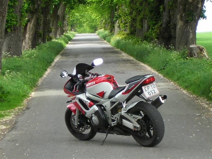 Yamaha yzf r6  SOLGT/totalskadet - aka<. Droningborg billede 1