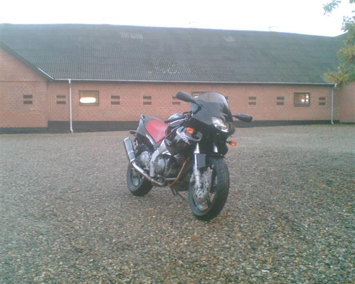 Yamaha SZR 660  billede 4