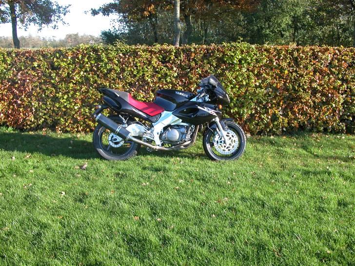 Yamaha SZR 660  billede 5