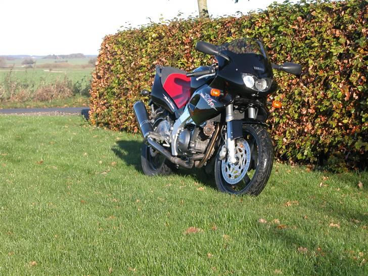 Yamaha SZR 660  billede 6