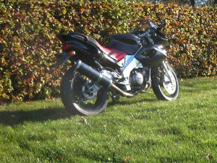 Yamaha SZR 660  billede 7