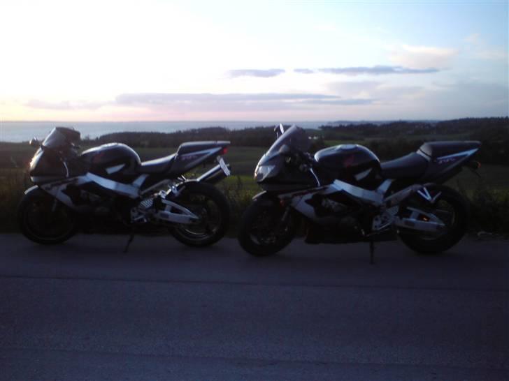 Honda CBR900RR Fireblade - SOLGT! billede 8