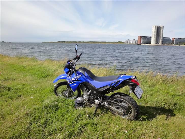 Yamaha XT 660R billede 4