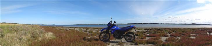 Yamaha XT 660R billede 5